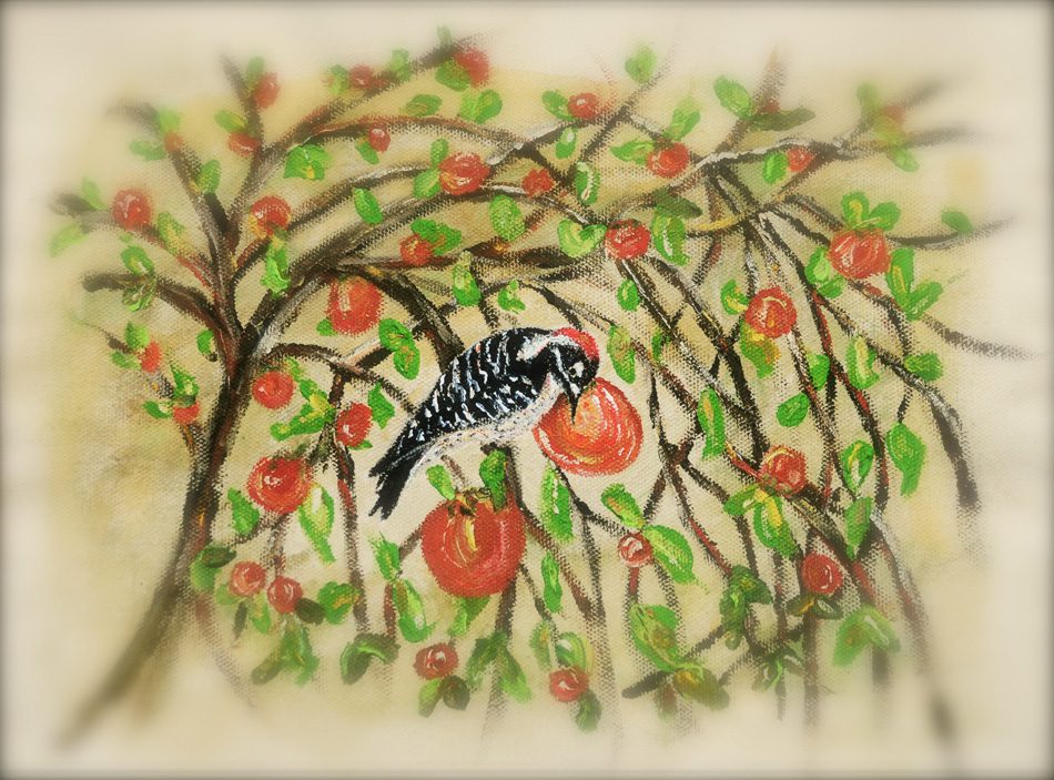 woodpecker persimmon web